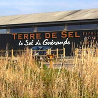 Accueil de Terre de Sel producteur de sel de Guérande