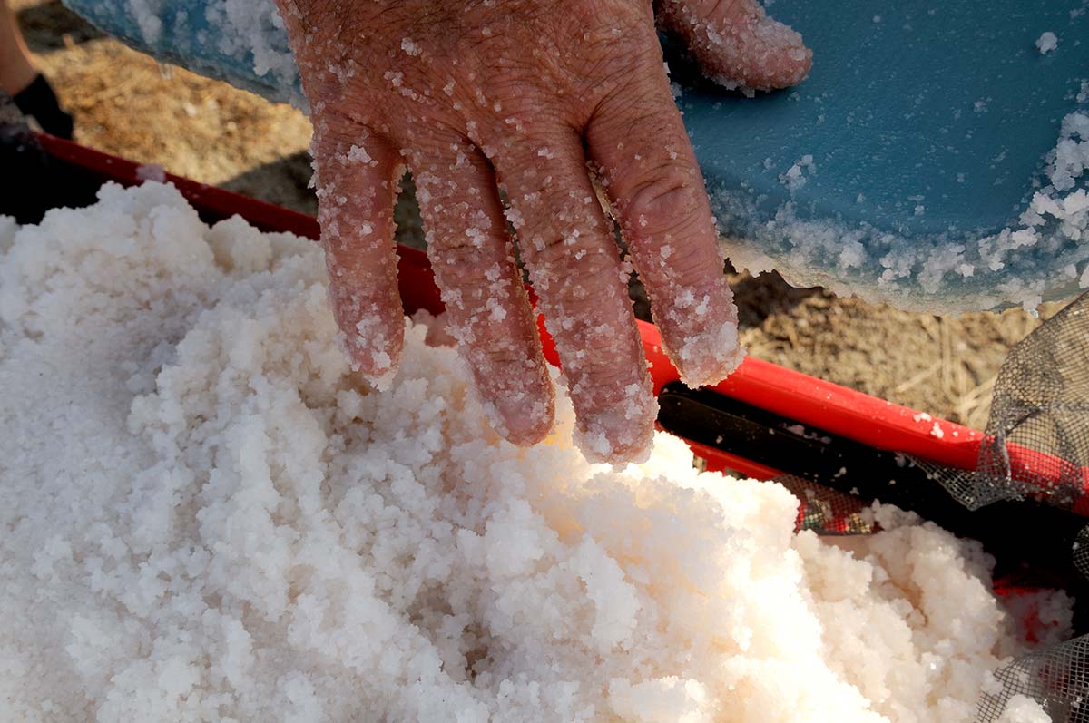Main travaillant le sel de Guérande en Bretagne sud