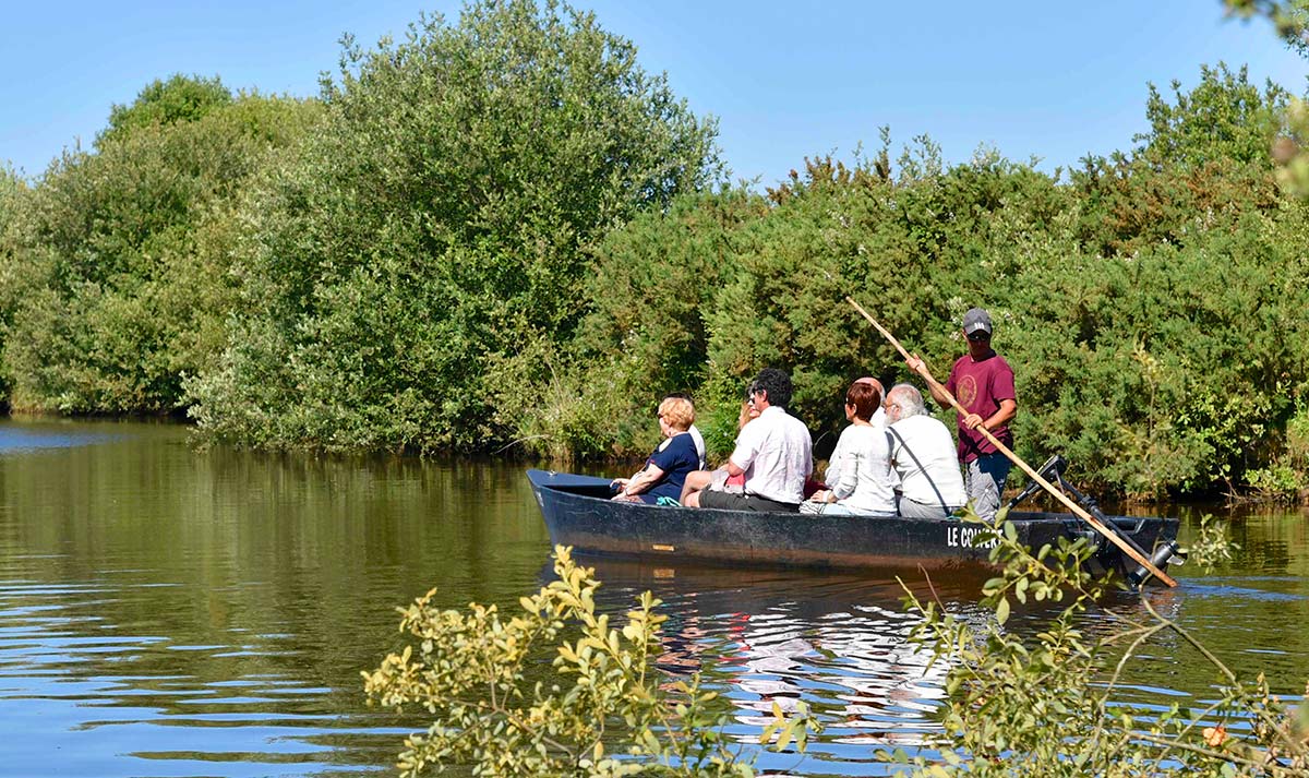 Promenade en barque dans le marais de Brière en Bretagne