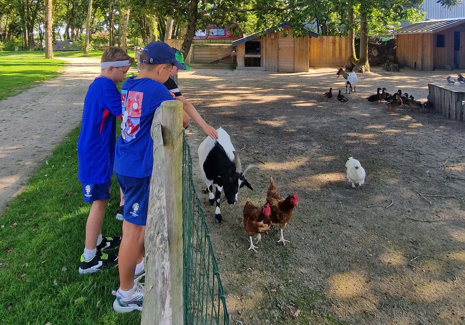 Mini farm with goats at the campsite near La Baule